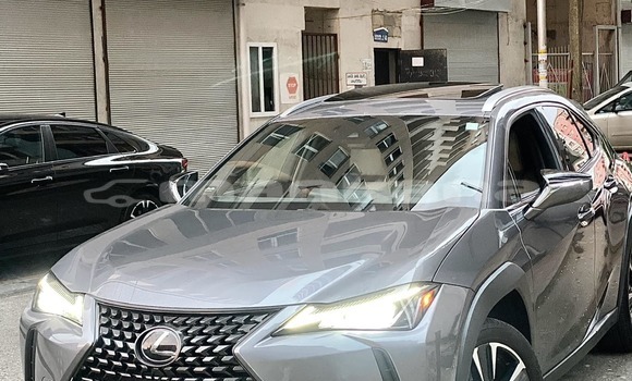 Buy Used Lexus UX Other Car in Tbilisi in Tbilisi