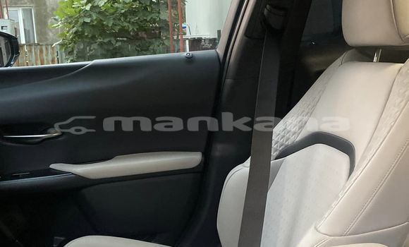 Buy Used Lexus UX Other Car in Tbilisi in Tbilisi Buy Used Lexus UX Other Car in Tbilisi in Tbilisi