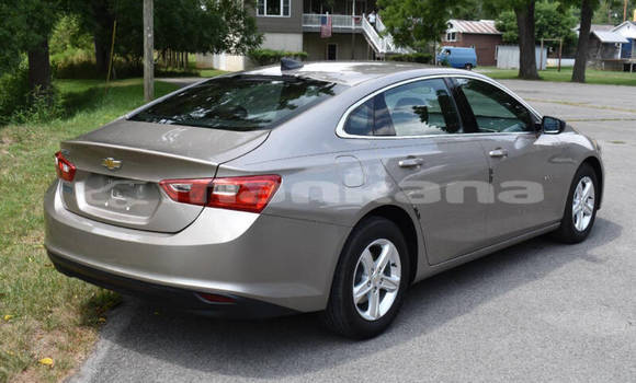Buy Used Chevrolet Malibu Other Car in Tbilisi in Tbilisi Buy Used Chevrolet Malibu Other Car in Tbilisi in Tbilisi