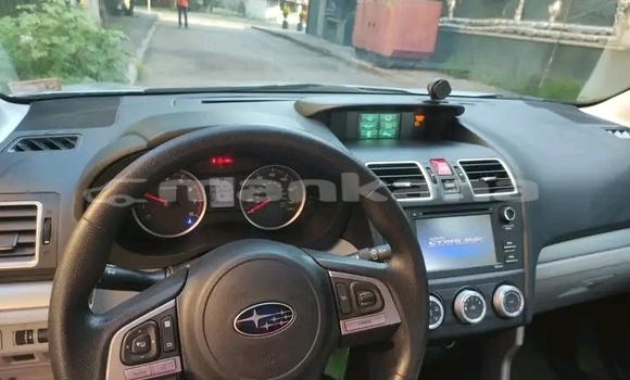 Buy Used Toyota RAV4 Other Car in Bihvinta in Abhasia Buy Used Toyota RAV4 Other Car in Bihvinta in Abhasia