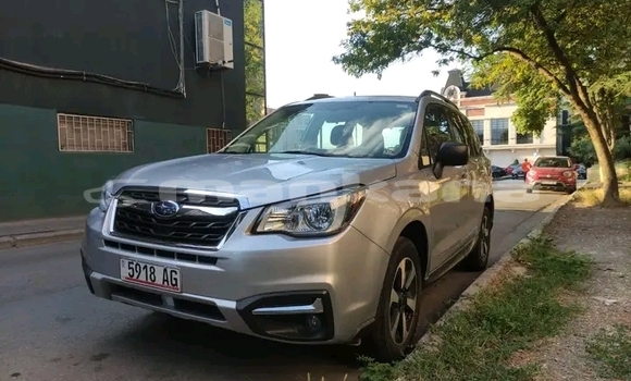 Buy Used Toyota RAV4 Other Car in Bihvinta in Abhasia Buy Used Toyota RAV4 Other Car in Bihvinta in Abhasia