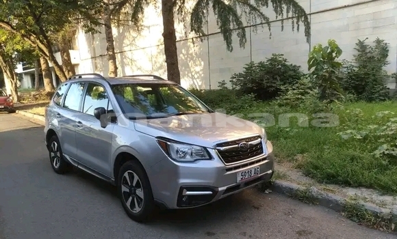 Buy Used Toyota RAV4 Other Car in Bihvinta in Abhasia Buy Used Toyota RAV4 Other Car in Bihvinta in Abhasia