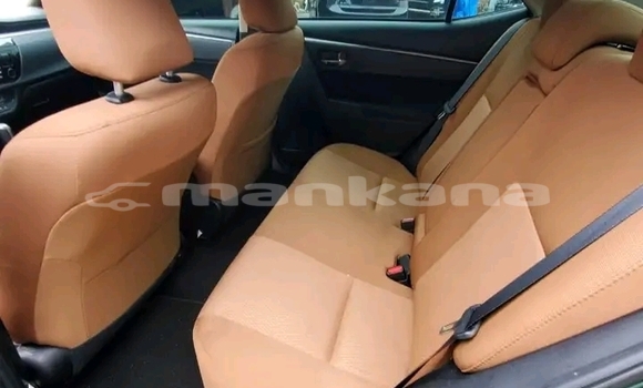 Buy Used BMW 2-Series Green Car in Borzhomi in Samche-Zhavaheti Buy Used BMW 2-Series Green Car in Borzhomi in Samche-Zhavaheti