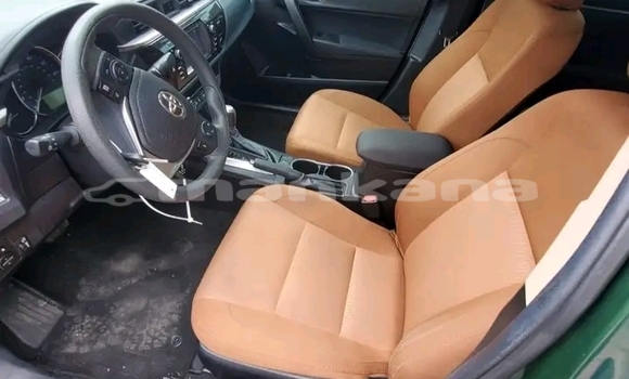 Buy Used BMW 2-Series Green Car in Borzhomi in Samche-Zhavaheti Buy Used BMW 2-Series Green Car in Borzhomi in Samche-Zhavaheti