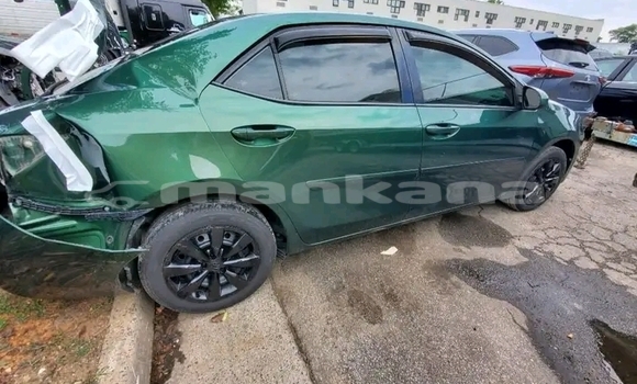 Buy Used BMW 2-Series Green Car in Borzhomi in Samche-Zhavaheti Buy Used BMW 2-Series Green Car in Borzhomi in Samche-Zhavaheti