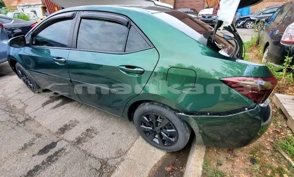 Buy Used BMW 2-Series Green Car in Borzhomi in Samche-Zhavaheti Buy Used BMW 2-Series Green Car in Borzhomi in Samche-Zhavaheti