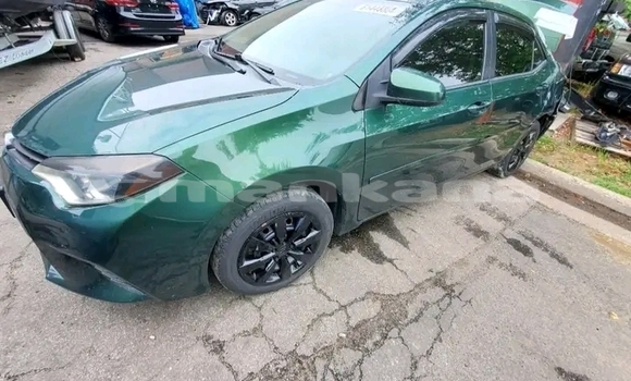 Buy Used BMW 2-Series Green Car in Borzhomi in Samche-Zhavaheti Buy Used BMW 2-Series Green Car in Borzhomi in Samche-Zhavaheti