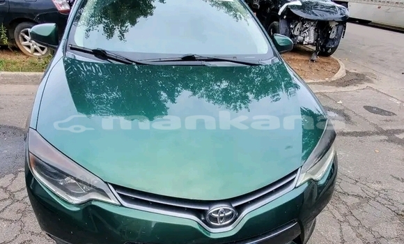 Buy Used BMW 2-Series Green Car in Borzhomi in Samche-Zhavaheti Buy Used BMW 2-Series Green Car in Borzhomi in Samche-Zhavaheti