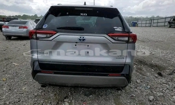Buy Used Toyota RAV4 Other Car in Gagra in Abhasia Buy Used Toyota RAV4 Other Car in Gagra in Abhasia