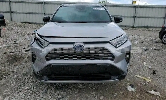 Buy Used Toyota RAV4 Other Car in Gagra in Abhasia Buy Used Toyota RAV4 Other Car in Gagra in Abhasia