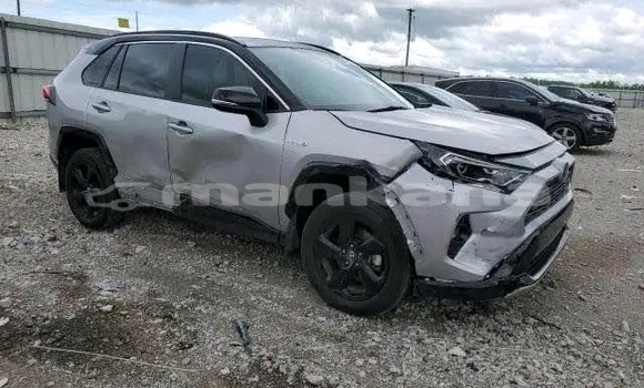 Buy Used Toyota RAV4 Other Car in Gagra in Abhasia Buy Used Toyota RAV4 Other Car in Gagra in Abhasia