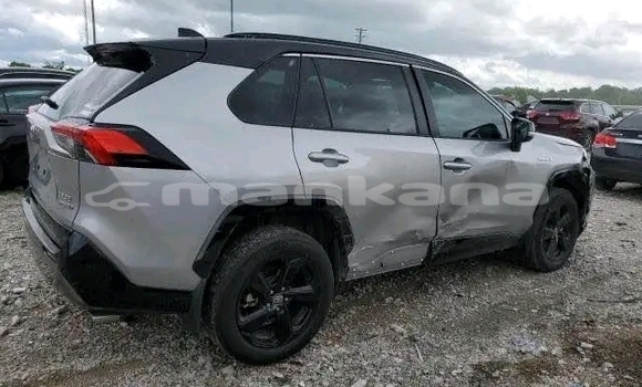 Buy Used Toyota RAV4 Other Car in Gagra in Abhasia Buy Used Toyota RAV4 Other Car in Gagra in Abhasia