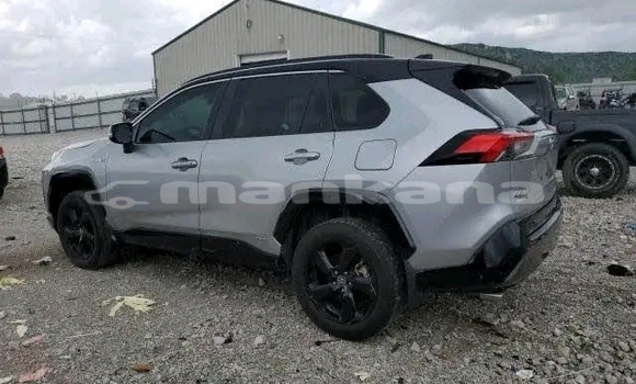 Buy Used Toyota RAV4 Other Car in Gagra in Abhasia Buy Used Toyota RAV4 Other Car in Gagra in Abhasia