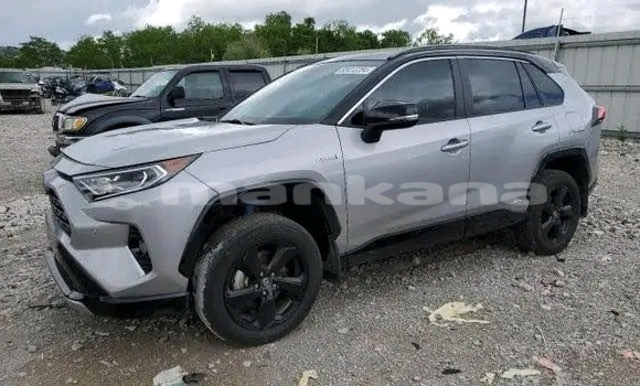 Buy Used Toyota RAV4 Other Car in Gagra in Abhasia Buy Used Toyota RAV4 Other Car in Gagra in Abhasia