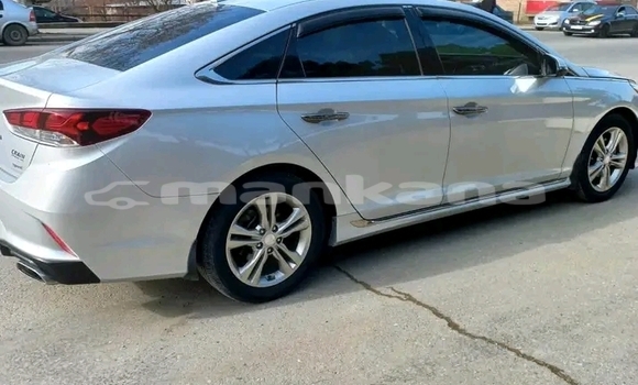 Buy Used Hyundai Sonata White Car in Borzhomi in Samche-Zhavaheti Buy Used Hyundai Sonata White Car in Borzhomi in Samche-Zhavaheti