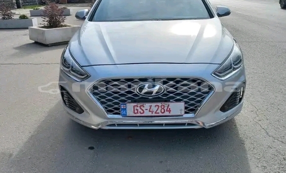 Buy Used Hyundai Sonata White Car in Borzhomi in Samche-Zhavaheti Buy Used Hyundai Sonata White Car in Borzhomi in Samche-Zhavaheti