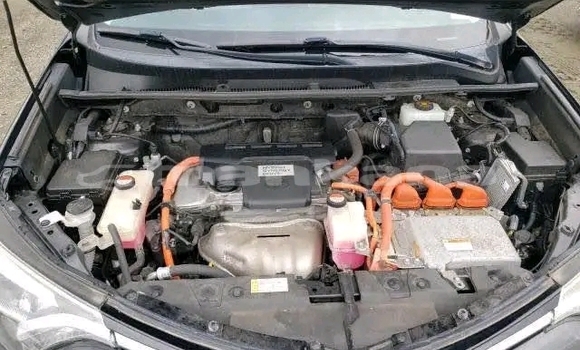 Buy Used Toyota RAV4 Black Car in Cnori in Kaheti Buy Used Toyota RAV4 Black Car in Cnori in Kaheti