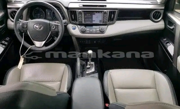 Buy Used Toyota RAV4 Black Car in Cnori in Kaheti Buy Used Toyota RAV4 Black Car in Cnori in Kaheti