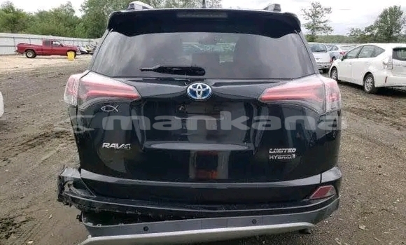 Buy Used Toyota RAV4 Black Car in Cnori in Kaheti Buy Used Toyota RAV4 Black Car in Cnori in Kaheti