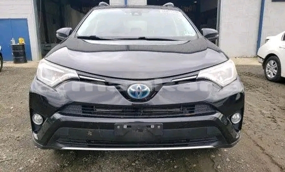 Buy Used Toyota RAV4 Black Car in Cnori in Kaheti Buy Used Toyota RAV4 Black Car in Cnori in Kaheti