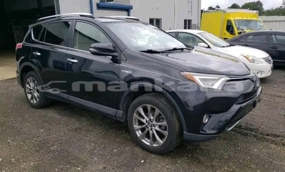 Buy Used Toyota RAV4 Black Car in Cnori in Kaheti Buy Used Toyota RAV4 Black Car in Cnori in Kaheti