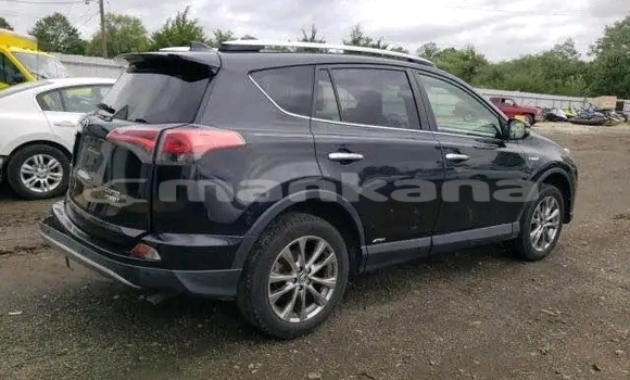 Buy Used Toyota RAV4 Black Car in Cnori in Kaheti Buy Used Toyota RAV4 Black Car in Cnori in Kaheti