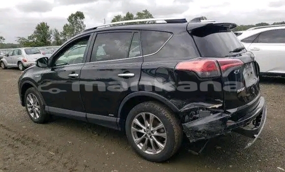 Buy Used Toyota RAV4 Black Car in Cnori in Kaheti Buy Used Toyota RAV4 Black Car in Cnori in Kaheti