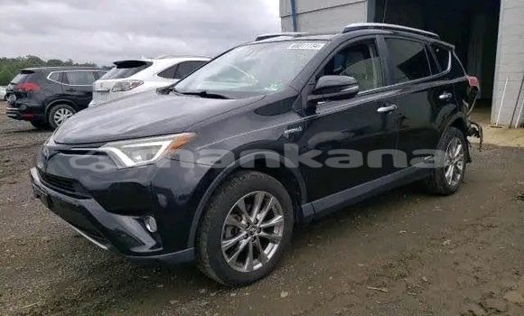 Buy Used Toyota RAV4 Black Car in Cnori in Kaheti Buy Used Toyota RAV4 Black Car in Cnori in Kaheti