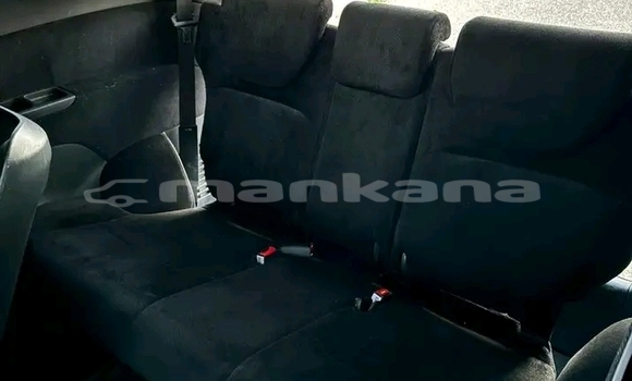 Buy Used Honda Odyssey White Car in Cnori in Kaheti