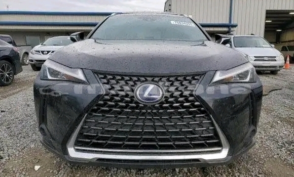 Buy Used Lexus UX Black Car in Bihvinta in Abhasia