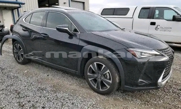 Buy Used Lexus UX Black Car in Bihvinta in Abhasia Buy Used Lexus UX Black Car in Bihvinta in Abhasia