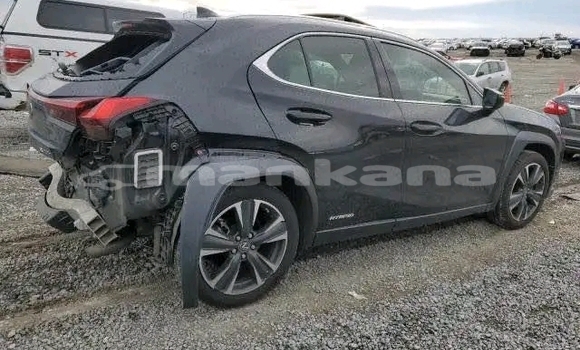 Buy Used Lexus UX Black Car in Bihvinta in Abhasia Buy Used Lexus UX Black Car in Bihvinta in Abhasia