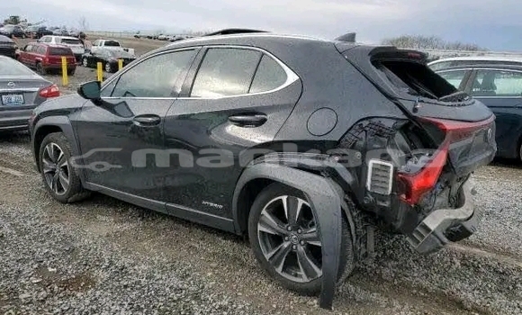 Buy Used Lexus UX Black Car in Bihvinta in Abhasia Buy Used Lexus UX Black Car in Bihvinta in Abhasia