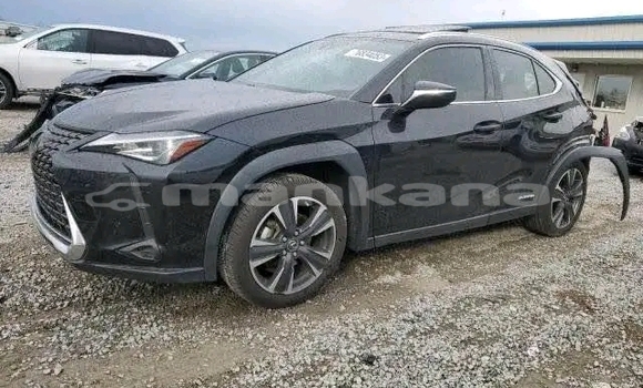 Buy Used Lexus UX Black Car in Bihvinta in Abhasia Buy Used Lexus UX Black Car in Bihvinta in Abhasia