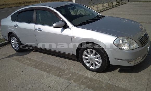 Buy Used Nissan Teana Silver Car in Tbilisi in Tbilisi