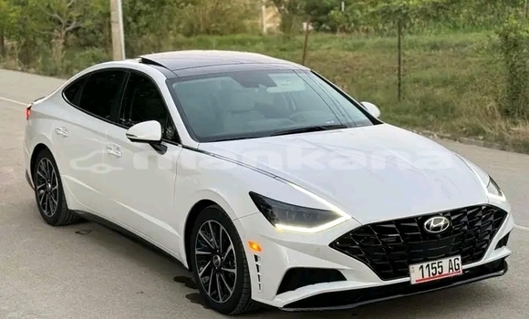 Buy Used Hyundai Sonata White Car in Bihvinta in Abhasia Buy Used Hyundai Sonata White Car in Bihvinta in Abhasia