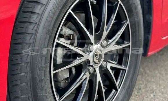 Buy Used Honda FIT Red Car in Gudauta in Abhasia Buy Used Honda FIT Red Car in Gudauta in Abhasia