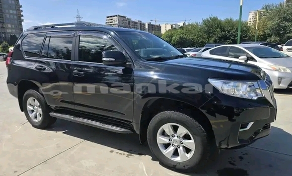 Buy Used Toyota Land Cruiser Prado Black Car in Borzhomi in Samche-Zhavaheti Buy Used Toyota Land Cruiser Prado Black Car in Borzhomi in Samche-Zhavaheti