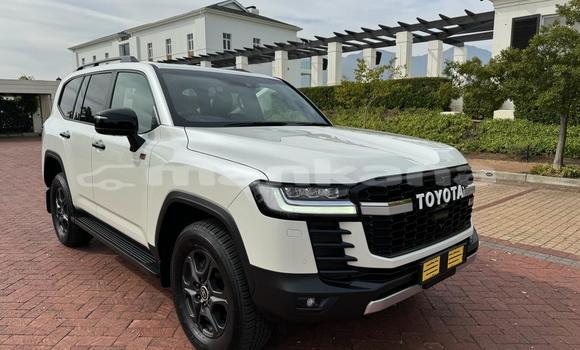 Buy Used Toyota Land Cruiser White Car in Tbilisi in Tbilisi Buy Used Toyota Land Cruiser White Car in Tbilisi in Tbilisi