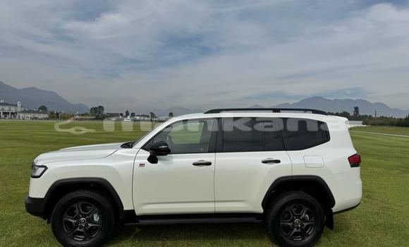 Buy Used Toyota Land Cruiser White Car in Tbilisi in Tbilisi Buy Used Toyota Land Cruiser White Car in Tbilisi in Tbilisi