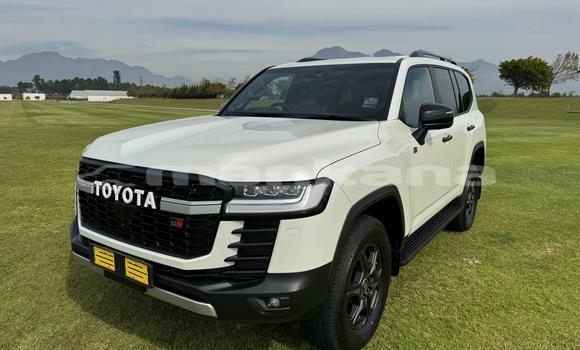 Buy Used Toyota Land Cruiser White Car in Tbilisi in Tbilisi Buy Used Toyota Land Cruiser White Car in Tbilisi in Tbilisi