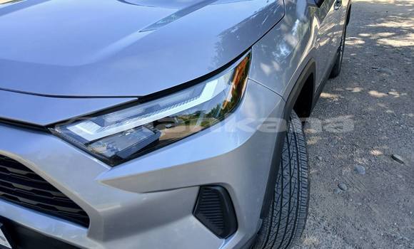 Buy Used Toyota RAV4 Other Car in Tkibuli in Imereti