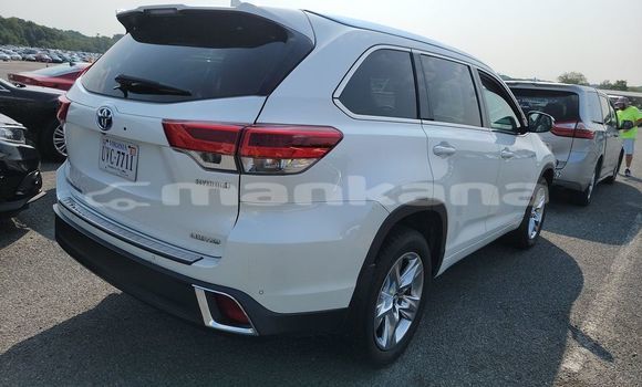 Buy Used Toyota Highlander White Car in Tbilisi in Tbilisi Buy Used Toyota Highlander White Car in Tbilisi in Tbilisi