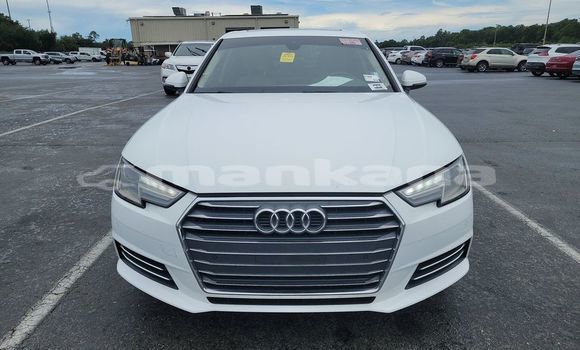 Buy Used Audi A4 White Car in Tbilisi in Tbilisi