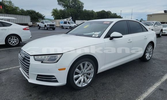 Buy Used Audi A4 White Car in Tbilisi in Tbilisi Buy Used Audi A4 White Car in Tbilisi in Tbilisi