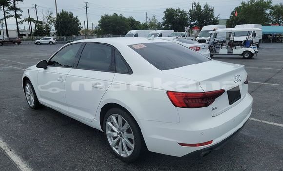 Buy Used Audi A4 White Car in Tbilisi in Tbilisi Buy Used Audi A4 White Car in Tbilisi in Tbilisi