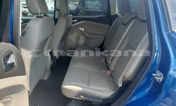 Buy Used Ford Escape Blue Car in Tbilisi in Tbilisi Buy Used Ford Escape Blue Car in Tbilisi in Tbilisi