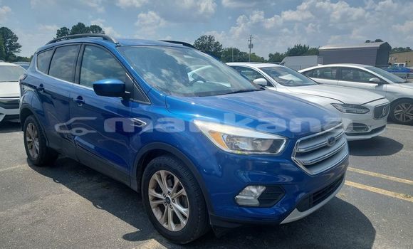 Buy Used Ford Escape Blue Car in Tbilisi in Tbilisi Buy Used Ford Escape Blue Car in Tbilisi in Tbilisi