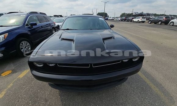 Buy Used Dodge Challenger Black Car in Tbilisi in Tbilisi Buy Used Dodge Challenger Black Car in Tbilisi in Tbilisi