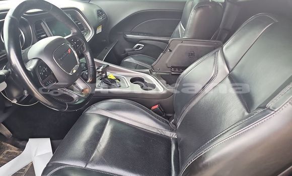 Buy Used Dodge Challenger Black Car in Tbilisi in Tbilisi Buy Used Dodge Challenger Black Car in Tbilisi in Tbilisi